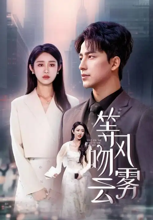 尘世账簿 年代家族剧全集在线观看
